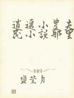 逍遥小农夫小农民小说那里可以看