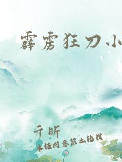 霹雳狂刀小说