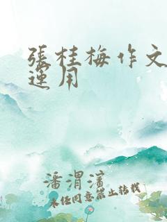 张桂梅作文素材运用
