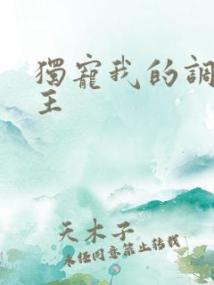 独宠我的调皮公主