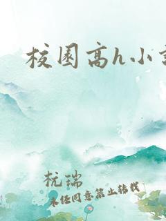 校园高h小说