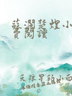 苏澜楚煜小说免费阅读