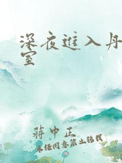 深夜进入丹丹卧室