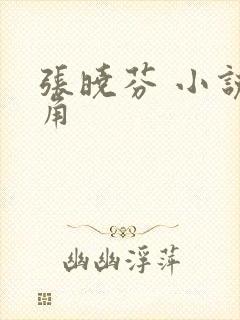 张晓芬 小说主角