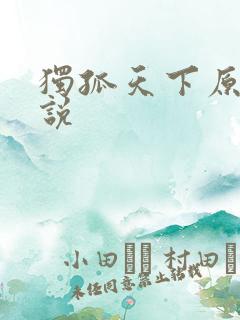 独孤天下原著小说