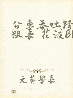 公车吞吐跨坐 粗长 花液BL