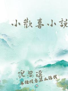 小欢喜小说