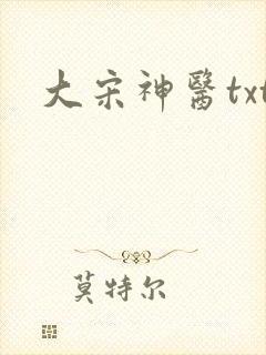 大宋神医txt