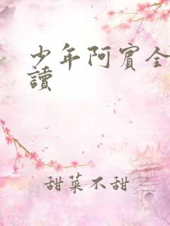 少年阿宾全本阅读