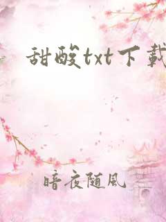 甜酸txt下载