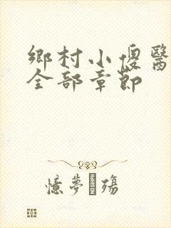 乡村小傻医小说全部章节