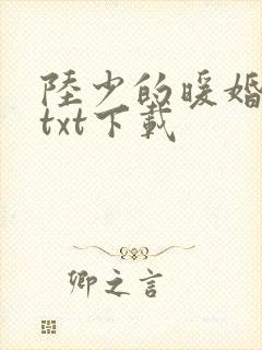 陆少的暖婚新妻txt下载