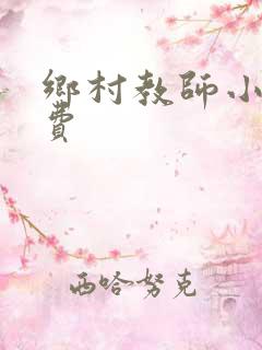 乡村教师小说免费