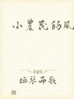 小农民的风流事