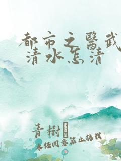 都市之医武至尊 清水怎清