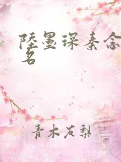 陆墨琛秦念小说名