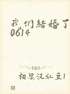 我们结婚了130614