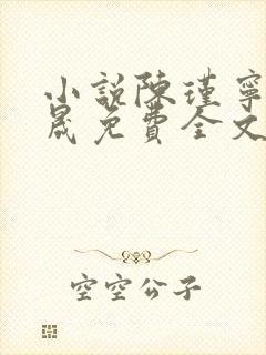 小说陈瑾宁李良晟免费全文阅读一