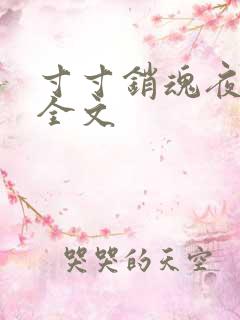 寸寸销魂夜春光全文
