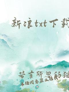 新浪txt下载
