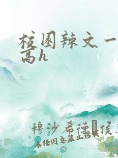 校园辣文一对一高h