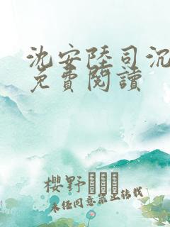 沈安陆司沉小说免费阅读
