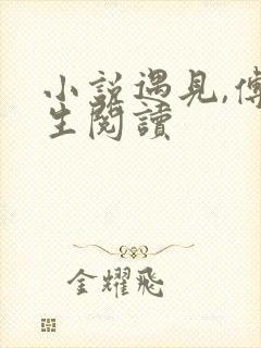 小说遇见,傅先生阅读
