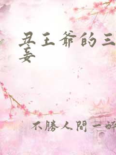 丑王爷的三妻四妾