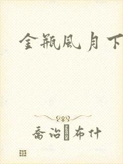 金瓶风月下载