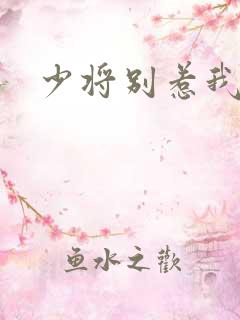 少将别惹我