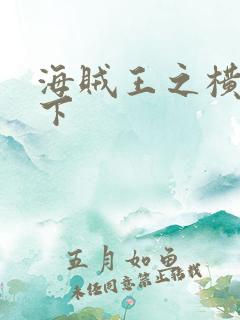 海贼王之横行天下