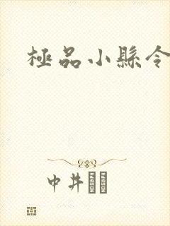 极品小县令