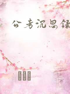 公考沉思录