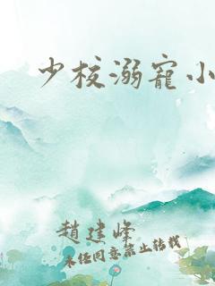 少校溺宠小小妻