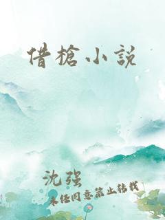 借枪小说