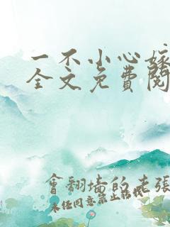 一不小心嫁总裁全文免费阅读