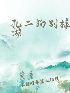 孔二狗别样的江湖