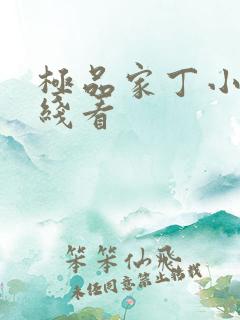 极品家丁小说在线看
