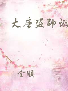 大唐盗帅燃文