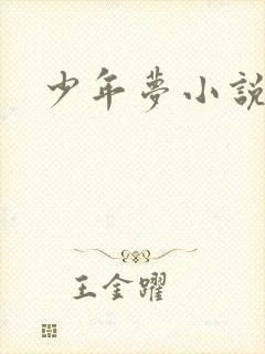 少年梦小说