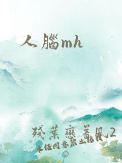 人脑mh