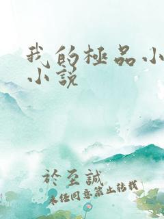 我的极品小姨的小说