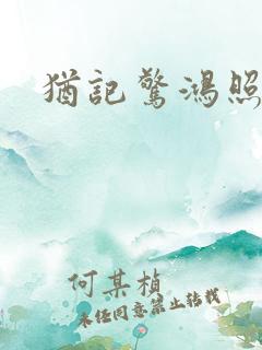 犹记惊鸿照影