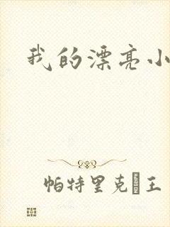 我的漂亮小后妈