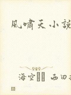风啸天小说