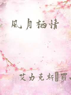 风月栖情