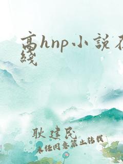 高hnp小说在线