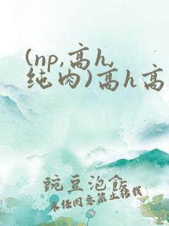 (np,高h,纯肉)高h高辣h