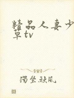精品人妻少妇嫩草tv