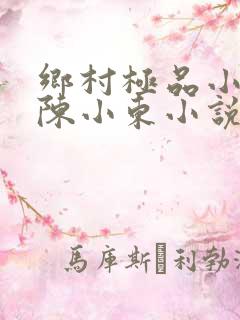 乡村极品小医仙陈小东小说在线阅读